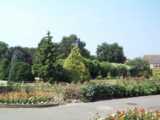 [Bury Lodge Park 28/07/2002 - &copy; 2002 Graham Johnson.]