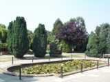 [Bury Lodge Park 28/07/2002 - &copy; 2002 Graham Johnson.]