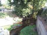 [Salmon's Brook east of Great Cambridge Road 03/10/2002 - &copy; 2002 Graham Johnson.]