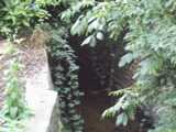 [Saddlers Mill Stream 08/10/2002 - &copy; 2002 Graham Johnson.]