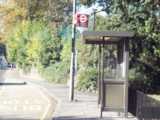 ["Haselbury Road" bus stop westbound (17/10/2002).]