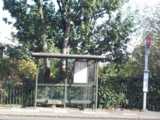 [Bus Stop 17/10/2002 - &copy; 2002 Graham Johnson.]