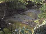 [Salmon's Brook south of Bury Lodge Park 17/10/2002 - &copy; 2002 Graham Johnson.]