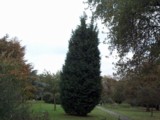 [Jubilee Park 24/10/2002 - &copy; 2002 Graham Johnson.]
