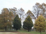 [Jubilee Park 24/10/2002 - &copy; 2002 Graham Johnson.]