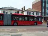 [The front end of a 149 at the relocated Park&nbsp;Road stop (26/04/2004).]