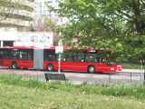 [The 149 at the bus stop on The Broadway (27/04/2004).]