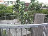 [A walk over the footbridge (24/06/2004).]