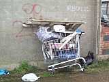 [The footpath between Chichester Road and Winchester Road (27/01/2005).]