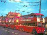 [Trolleybuses at Tramway Avenue - original is http://www.trolleybus.net/fullsize/netproject/102r.jpg]
