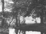 [View from County Bridge c. 1900]